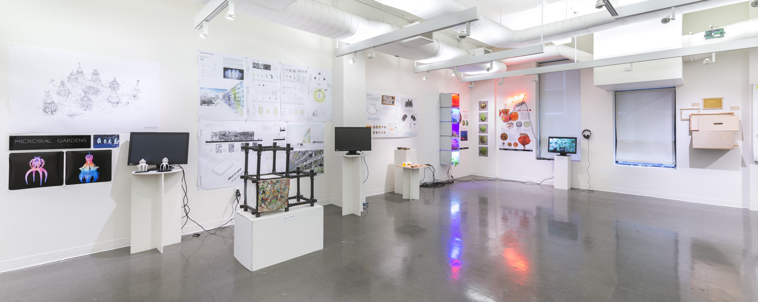 Interactive Installation Display