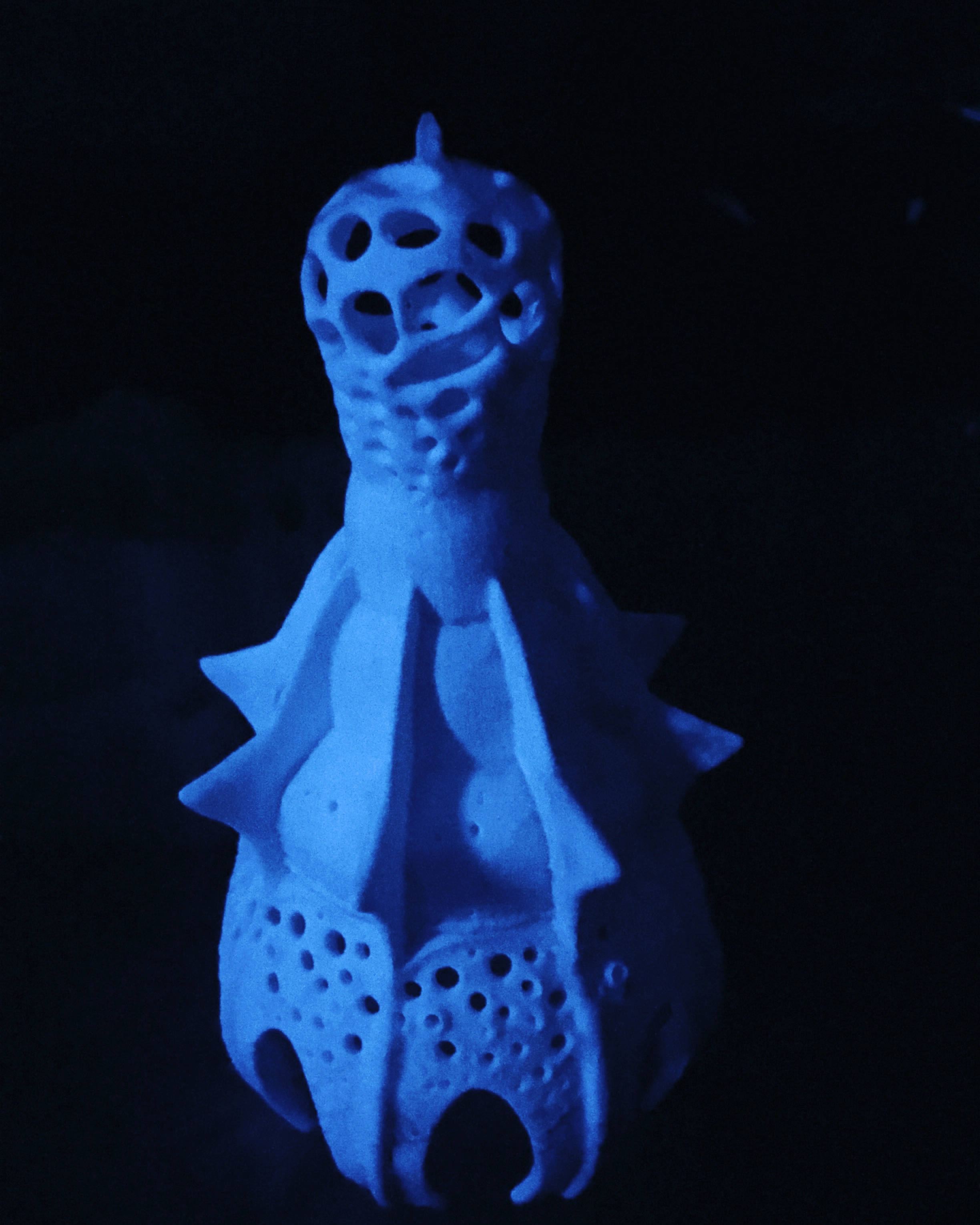 3D Printed Radiolarian Model