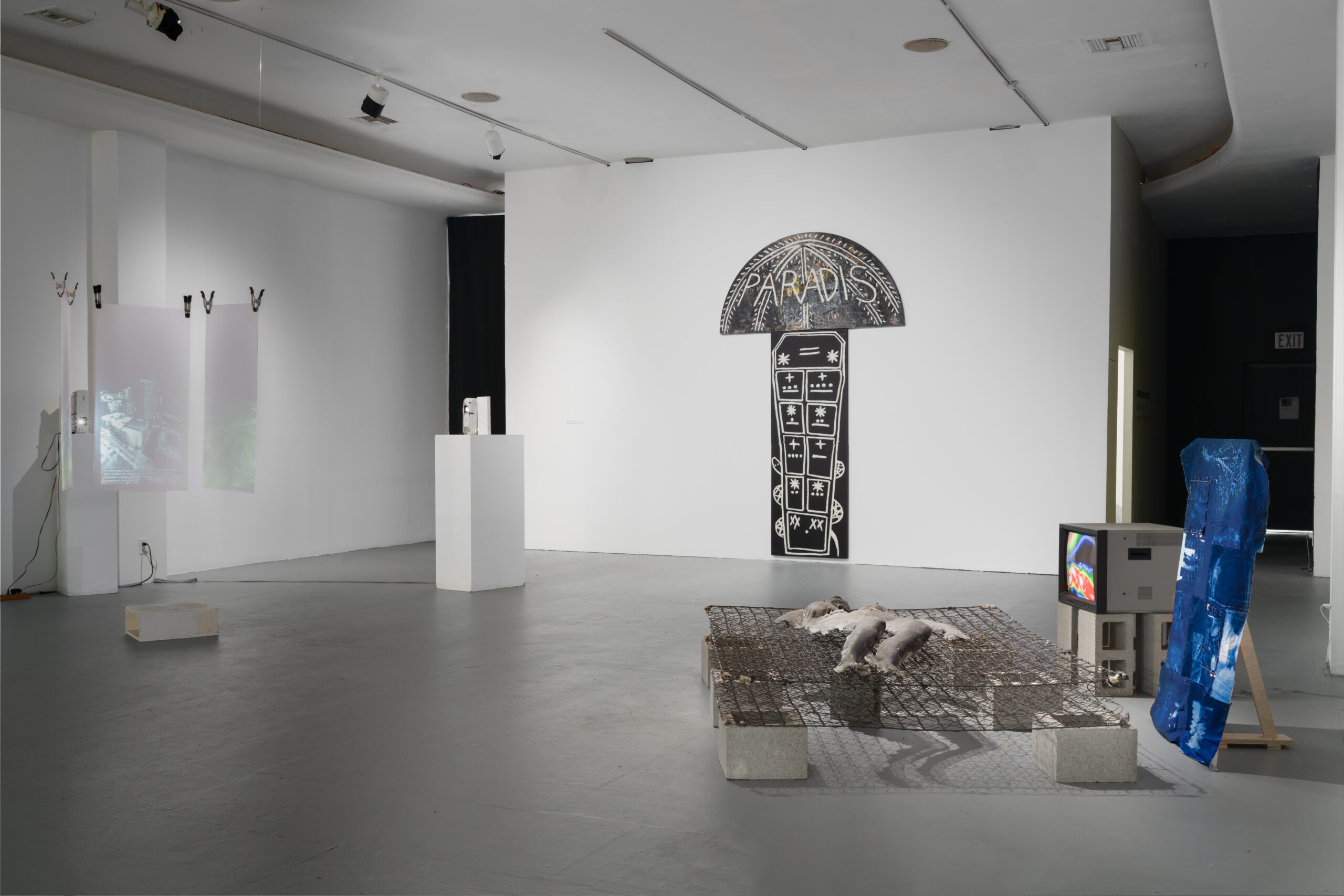 PARABLE 003 Installation View 3