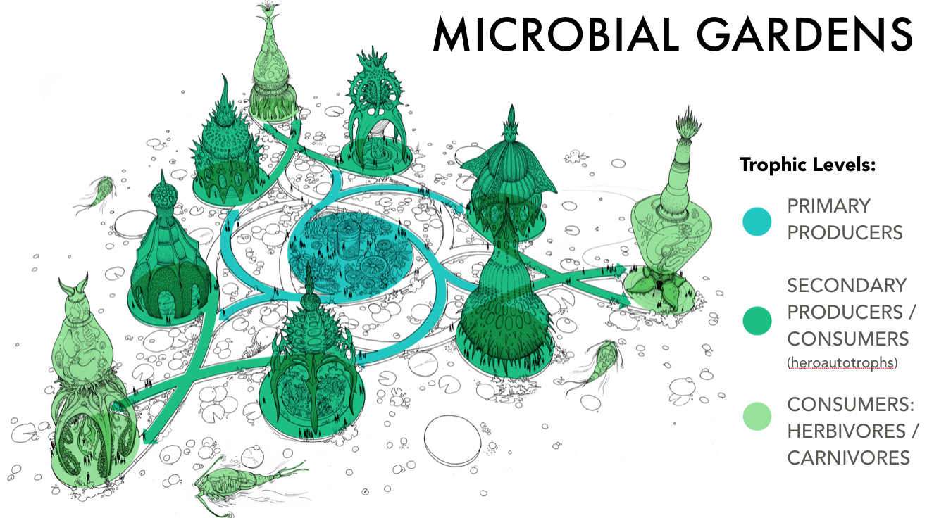 Microbial Gardens Design Sketch