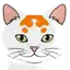Waffles’s in-game portrait