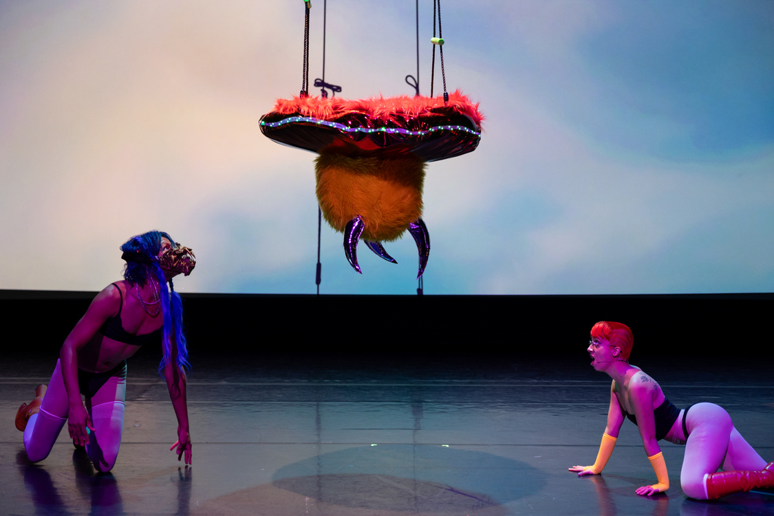 REDCAT Performance Photo 13